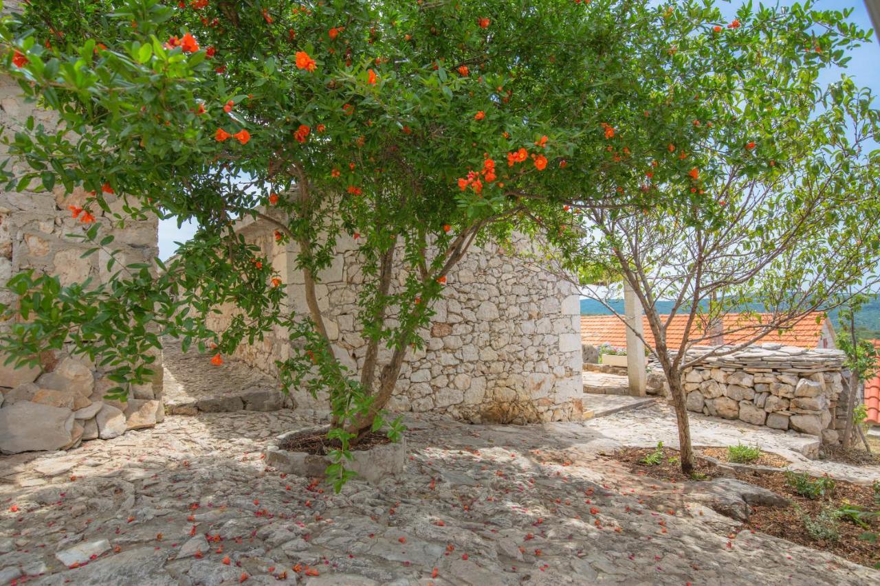 Dalmatian Stone House Villa Rogoznica  Exterior foto